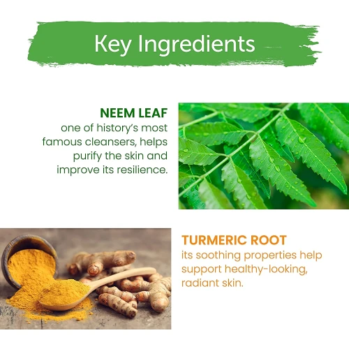 Himalaya Purifying Neem Face Wash 150Ml