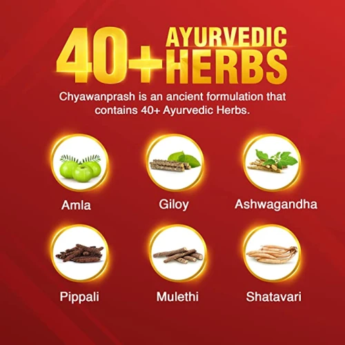 Dabur Chyawanprash - 500g