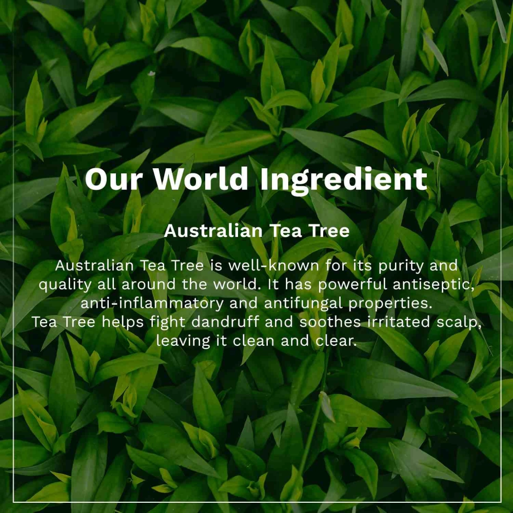 Pilgrim Australian Tea Tree Non-Drying Anti-Dandruff Shampoo 200ml